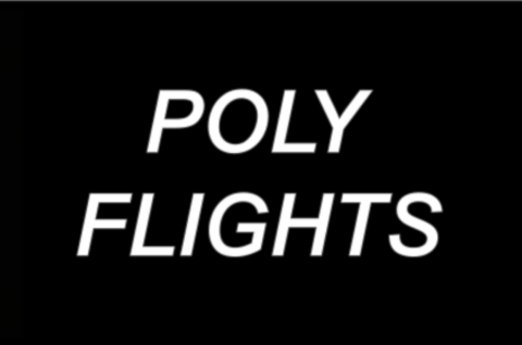 Poly Metronic Flights