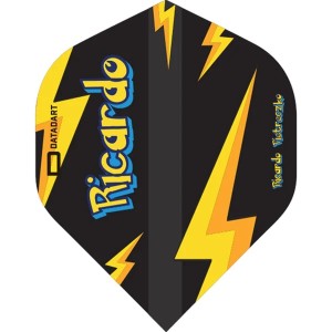 Datadart Ricardo Pietreczko Pikachu Flights Black