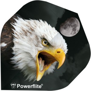 Bull's Powerflite Eagle Flights No2