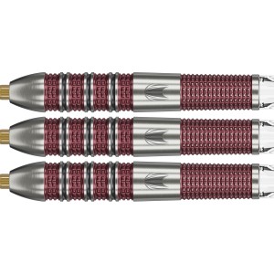 Target Stephen Bunting 95K 95% Swiss 18-22-23 Gram