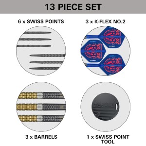 Target Raymond van Barneveld G6 95% Swiss 21-23-25 Gram