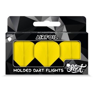 Shot Airfoil Molded Flight No2
