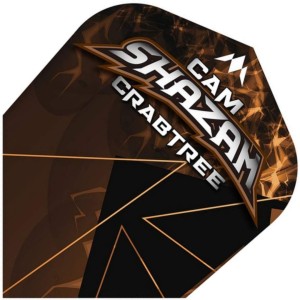 Mission Cam Crabtree Bronze NO6 Dart Flights
