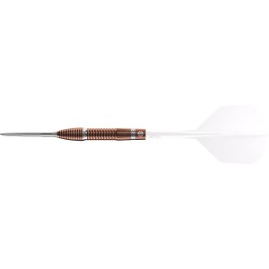 Caliburn Big Cats Lion 90% Tungsten Dartpijlen