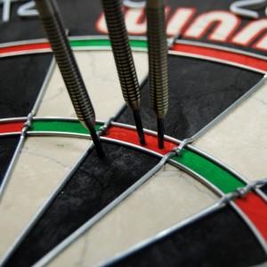 Winmau Pro SFB Dartbord