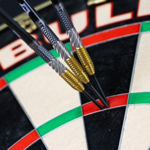 Bull's Dirk van Duijvenbode CP 95% Dartpijlen