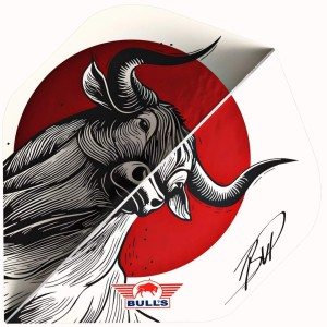 Bull's Design 100 Rising Bull No.2 Flights