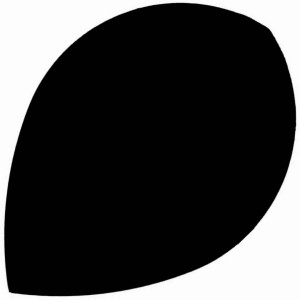 McDartShop Poly 75 Pear Zwart Flights