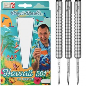 Legends Darts Wayne Mardle Hawaii 501 90% 20-22-24-26 Gram