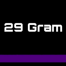 Dartpijlen 29 Gram