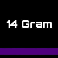 Dartpijlen 14 Gram