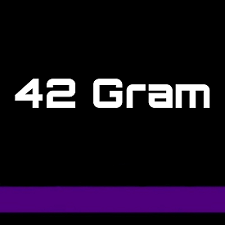 Dartpijlen 42 Gram